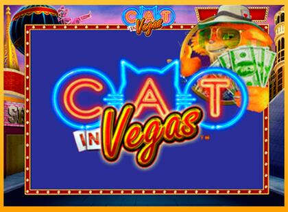 Cat In Vegas lošimo automatas už pinigus