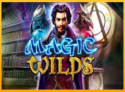 Magic Wilds lošimo automatas už pinigus