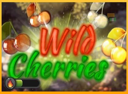 Wild Cherries lošimo automatas už pinigus