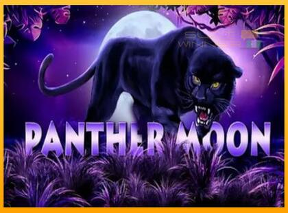 Panther Moon lošimo automatas už pinigus