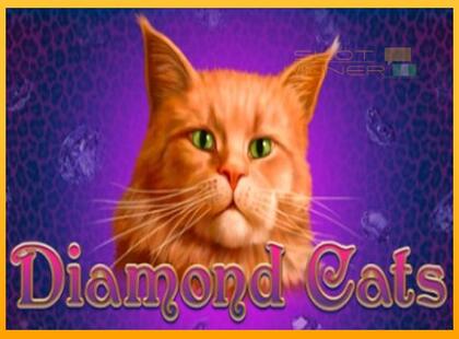 Diamond Cats lošimo automatas už pinigus