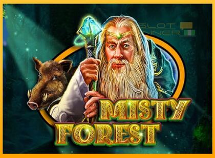 Misty Forest lošimo automatas už pinigus