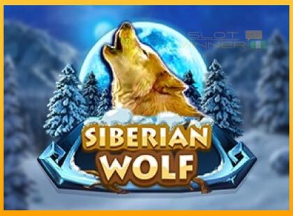 Siberian Wolf lošimo automatas už pinigus