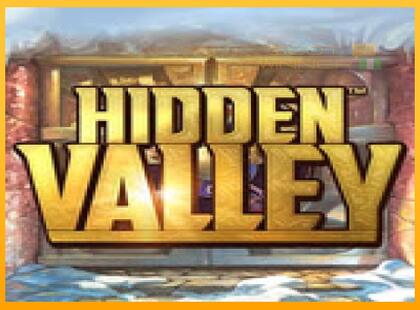 Hidden Valley lošimo automatas už pinigus