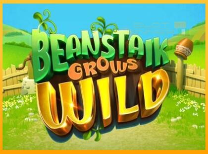 Beanstalk Grows Wild lošimo automatas už pinigus