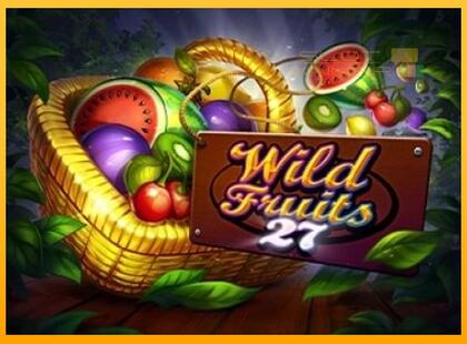 Wild Fruits 27 lošimo automatas už pinigus