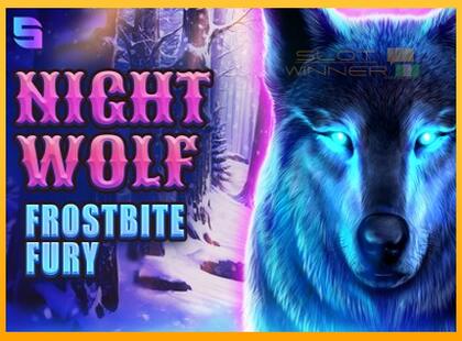 Night Wolf - Frostbite Fury lošimo automatas už pinigus