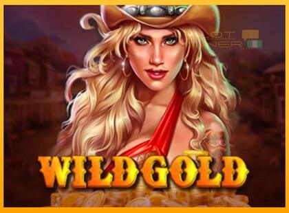 Wild Gold 100000 lošimo automatas už pinigus