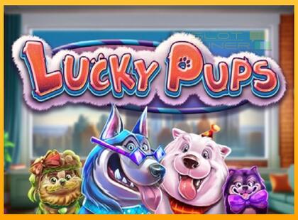 Lucky Pups lošimo automatas už pinigus