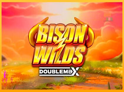 Bison Wilds DoubleMax lošimo automatas už pinigus