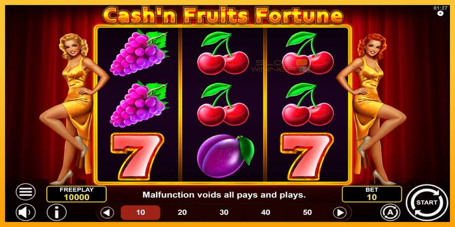 Cashn Fruits Fortune lošimo automatas už pinigus, paveikslėlį 2