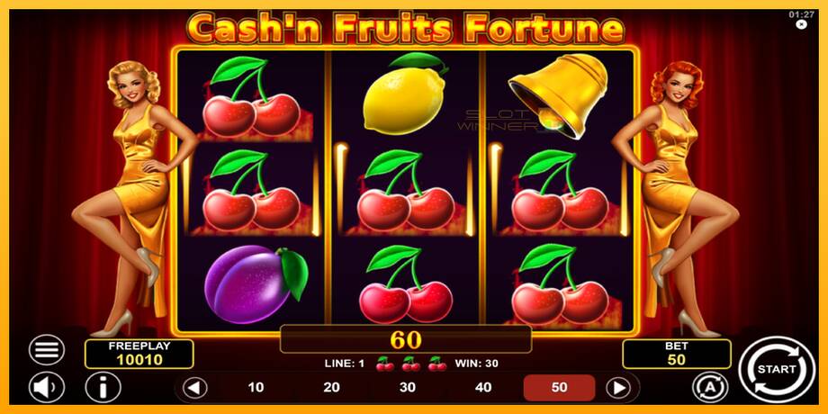 Cashn Fruits Fortune lošimo automatas už pinigus, paveikslėlį 3