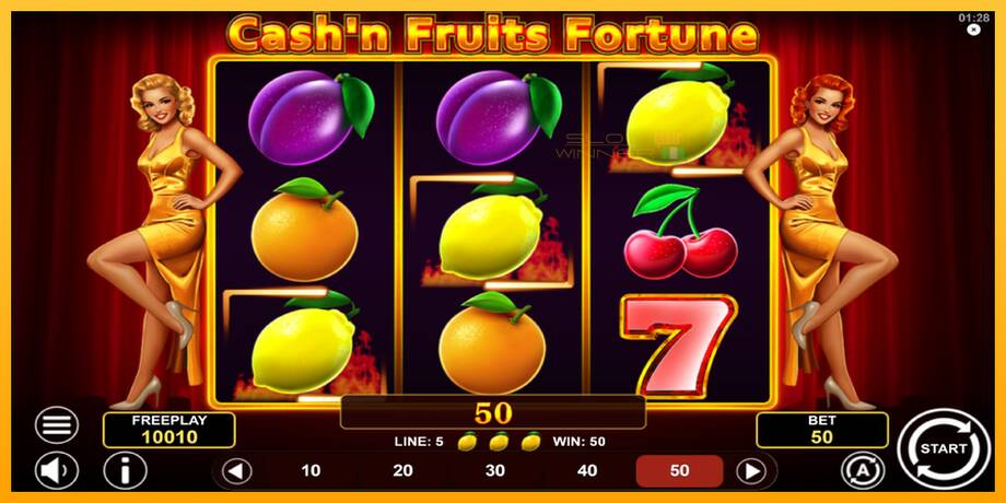 Cashn Fruits Fortune lošimo automatas už pinigus, paveikslėlį 4