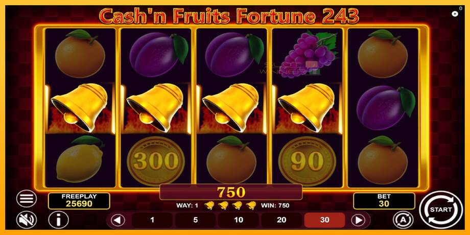 Cashn Fruits Fortune 243 lošimo automatas už pinigus, paveikslėlį 5