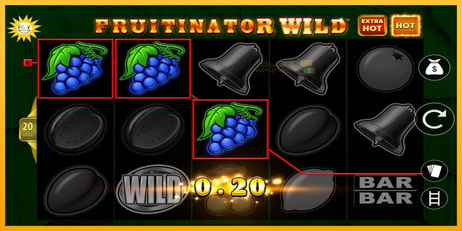 Fruitinator Wild lošimo automatas už pinigus, paveikslėlį 3