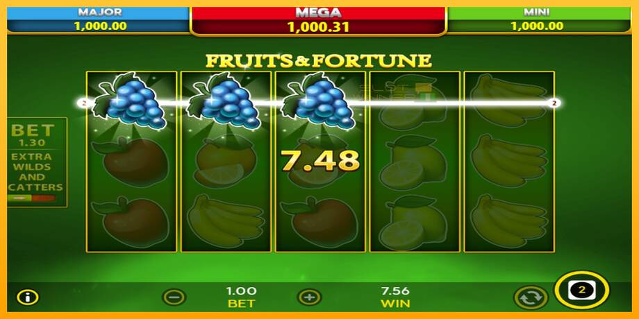 Fruits & Fortune lošimo automatas už pinigus, paveikslėlį 5