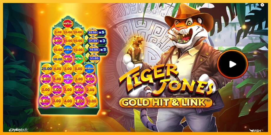 Gold Hit & Link: Tiger Jones lošimo automatas už pinigus, paveikslėlį 1