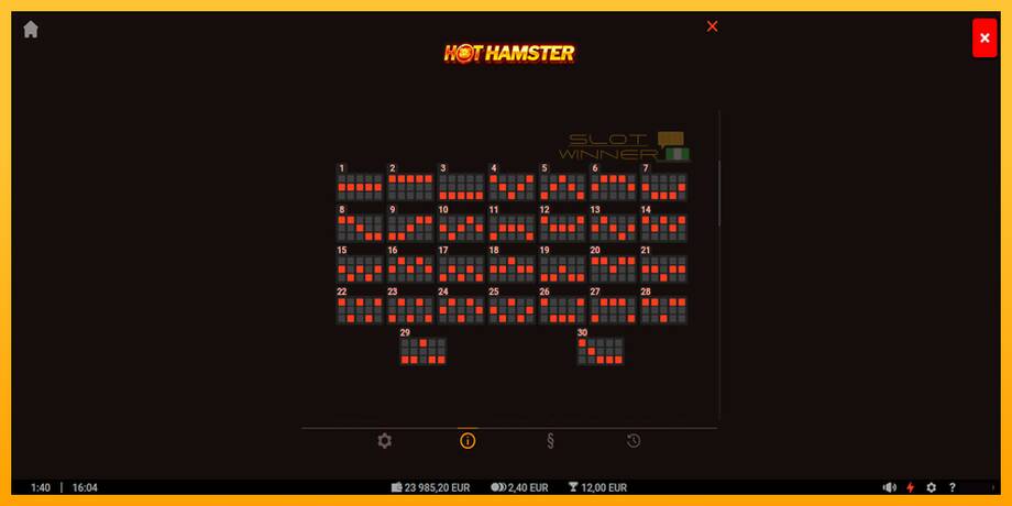 Hot Hamster lošimo automatas už pinigus, paveikslėlį 6