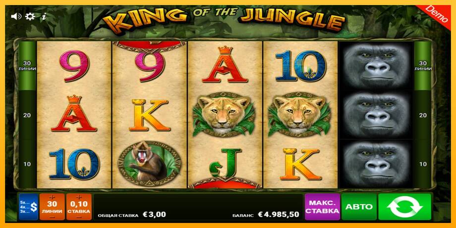 King of the Jungle lošimo automatas už pinigus, paveikslėlį 3