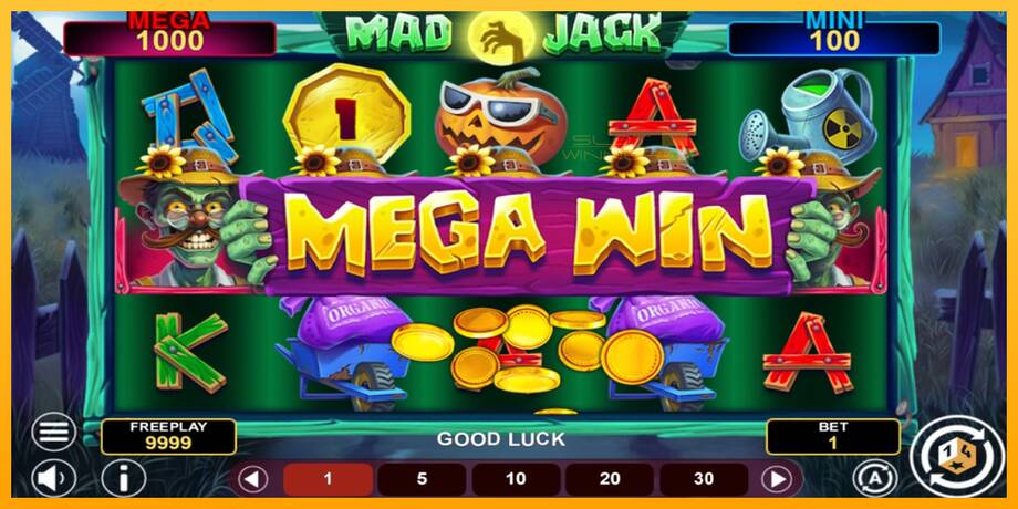 Mad Jack Hold & Win lošimo automatas už pinigus, paveikslėlį 2