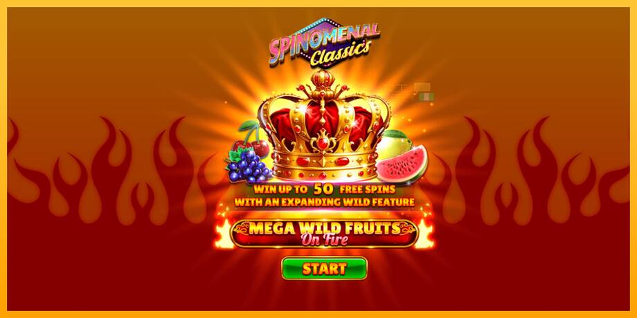 Mega Wild Fruits - On Fire lošimo automatas už pinigus, paveikslėlį 1