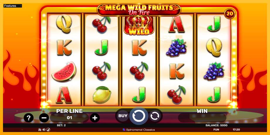 Mega Wild Fruits - On Fire lošimo automatas už pinigus, paveikslėlį 2