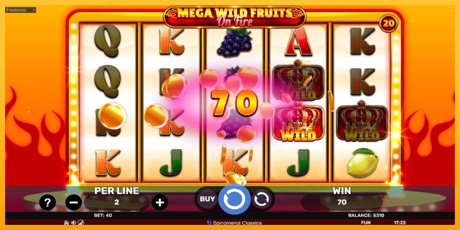 Mega Wild Fruits - On Fire lošimo automatas už pinigus, paveikslėlį 4