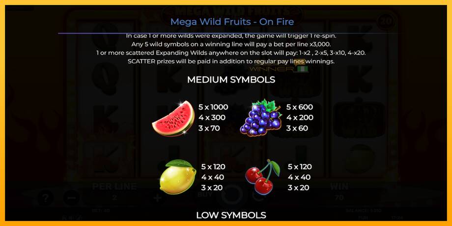 Mega Wild Fruits - On Fire lošimo automatas už pinigus, paveikslėlį 6