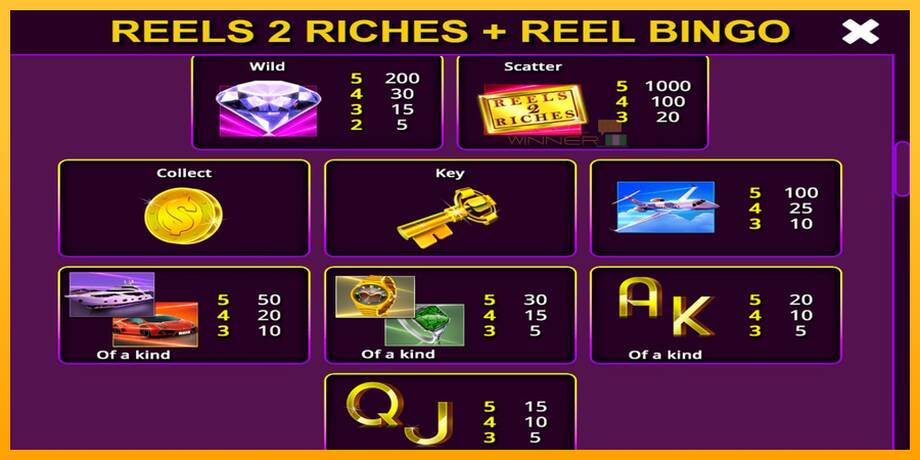 Reels 2 Riches with Reel Bingo lošimo automatas už pinigus, paveikslėlį 6