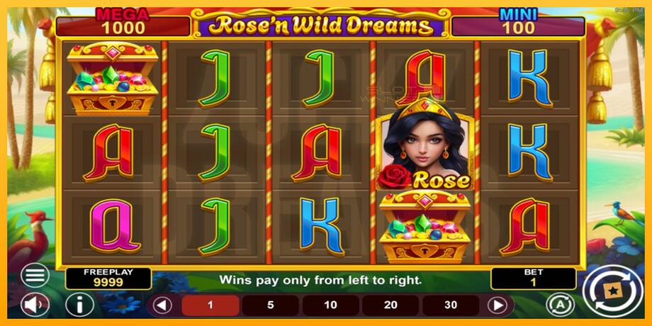 Rose’n Wild Dreams Hold & Win lošimo automatas už pinigus, paveikslėlį 2