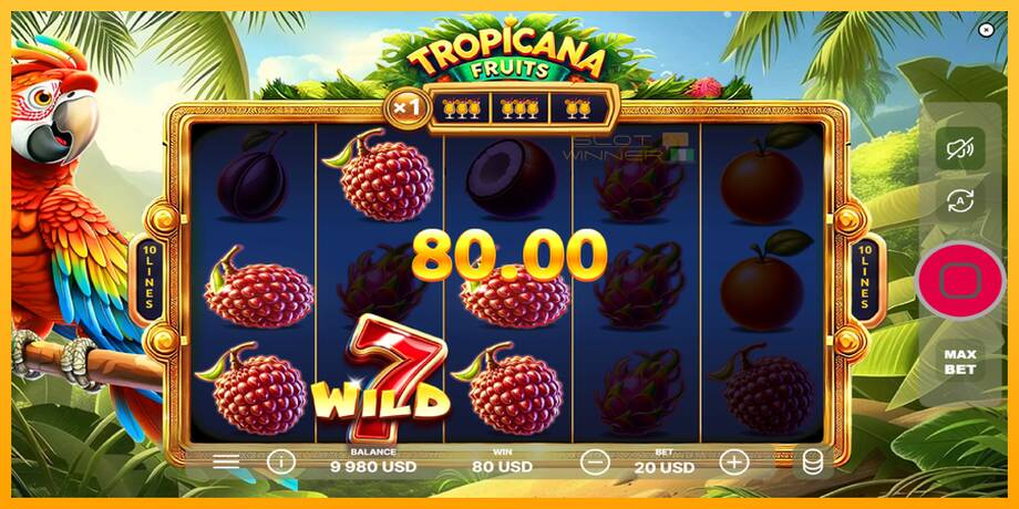 Tropicana Fruits lošimo automatas už pinigus, paveikslėlį 3