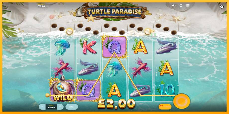 Turtle Paradise lošimo automatas už pinigus, paveikslėlį 3