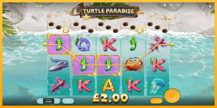 Turtle Paradise lošimo automatas už pinigus, paveikslėlį 4