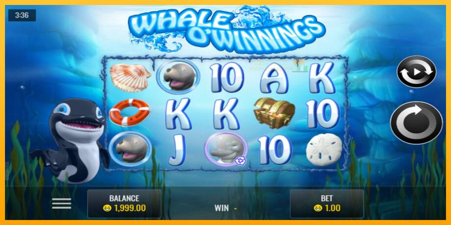 Whale O’Winnings lošimo automatas už pinigus, paveikslėlį 1