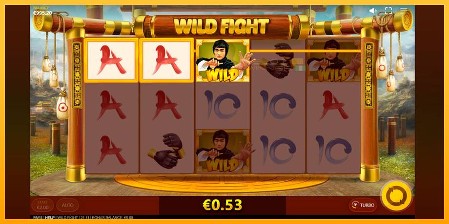 Wild Fight lošimo automatas už pinigus, paveikslėlį 4